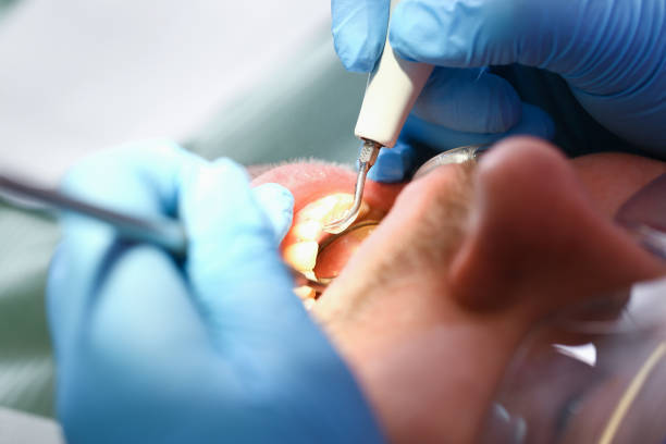Best Tooth Infection Emergency Dentist  in Whitley City, KY