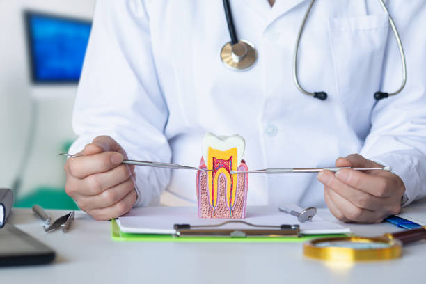Best Root Canal Emergency Dentist  in Whitley City, KY